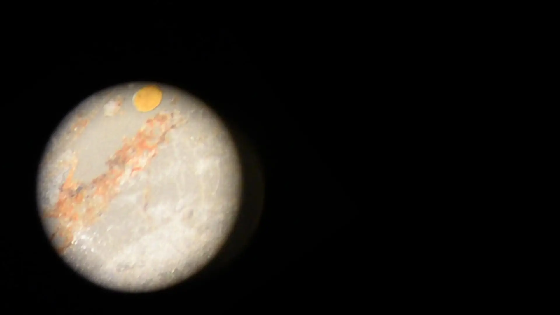 Untitled Projectstill copy