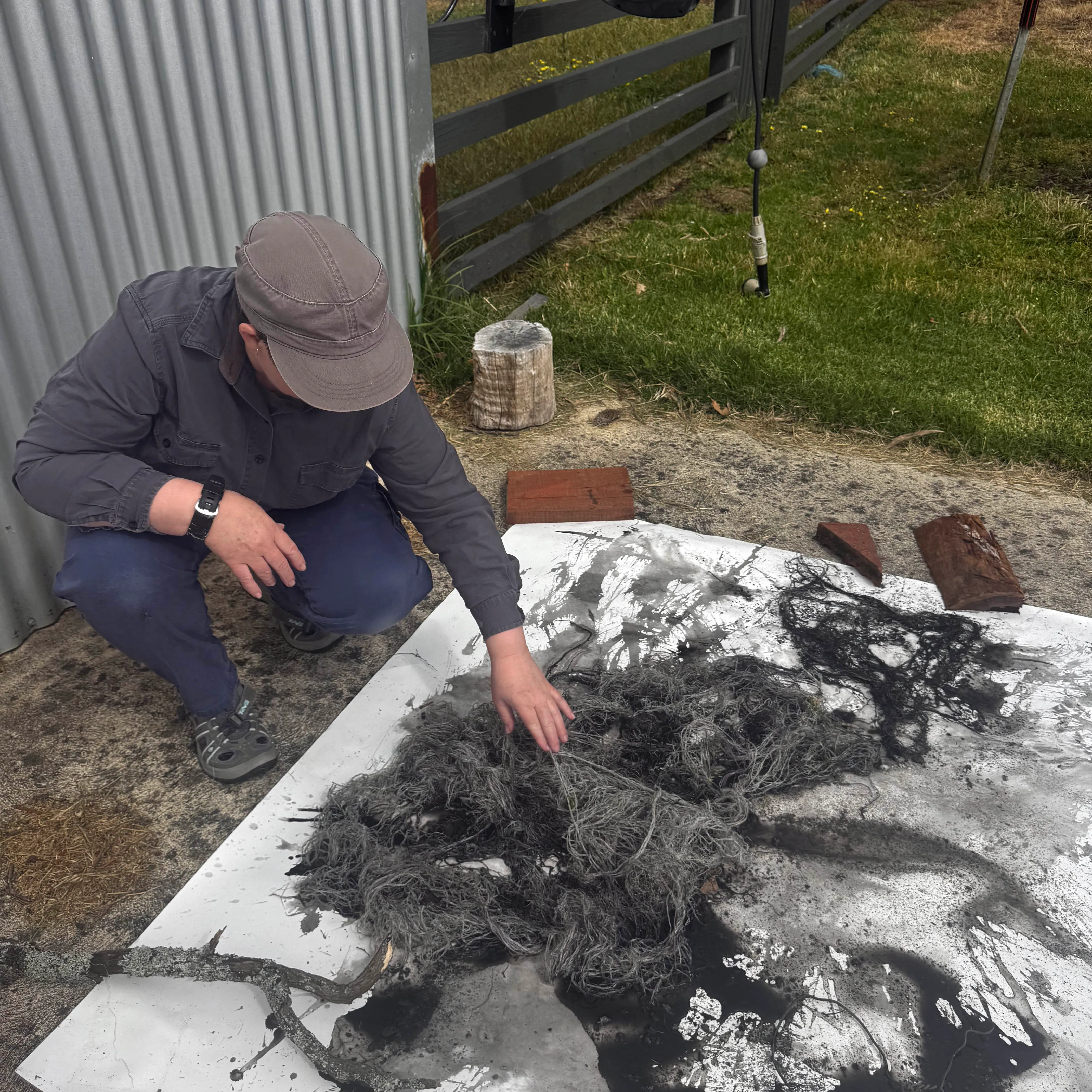 Perdita pHILLIPS mug shot